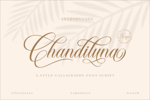 Chandiluna: A Delicate Handwritten Font for Editorial Elegance