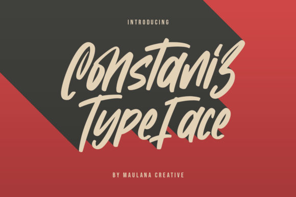 Constaniz: A Handwritten Font That Makes Your Campaign Stand Out