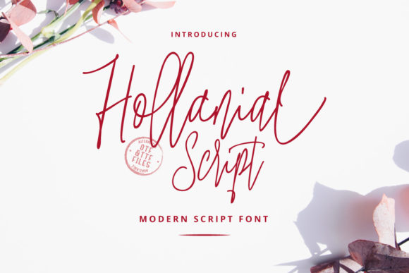 Hollanial: A Modern Script Font That Feels Human