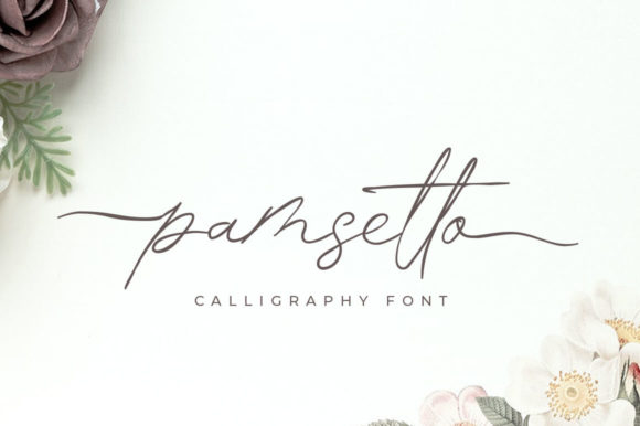 Pamsetto: A Dreamy Script Handwritten Font for Digital Branding