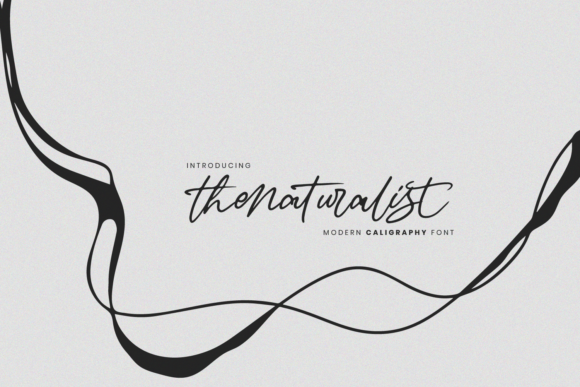 The Naturalist: A Warm, Urban Handwritten Font for Digital Branding